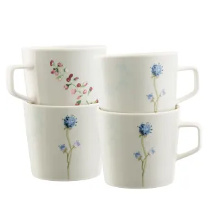 Aynsley Camille Pale Jade Set of 4 Mugs