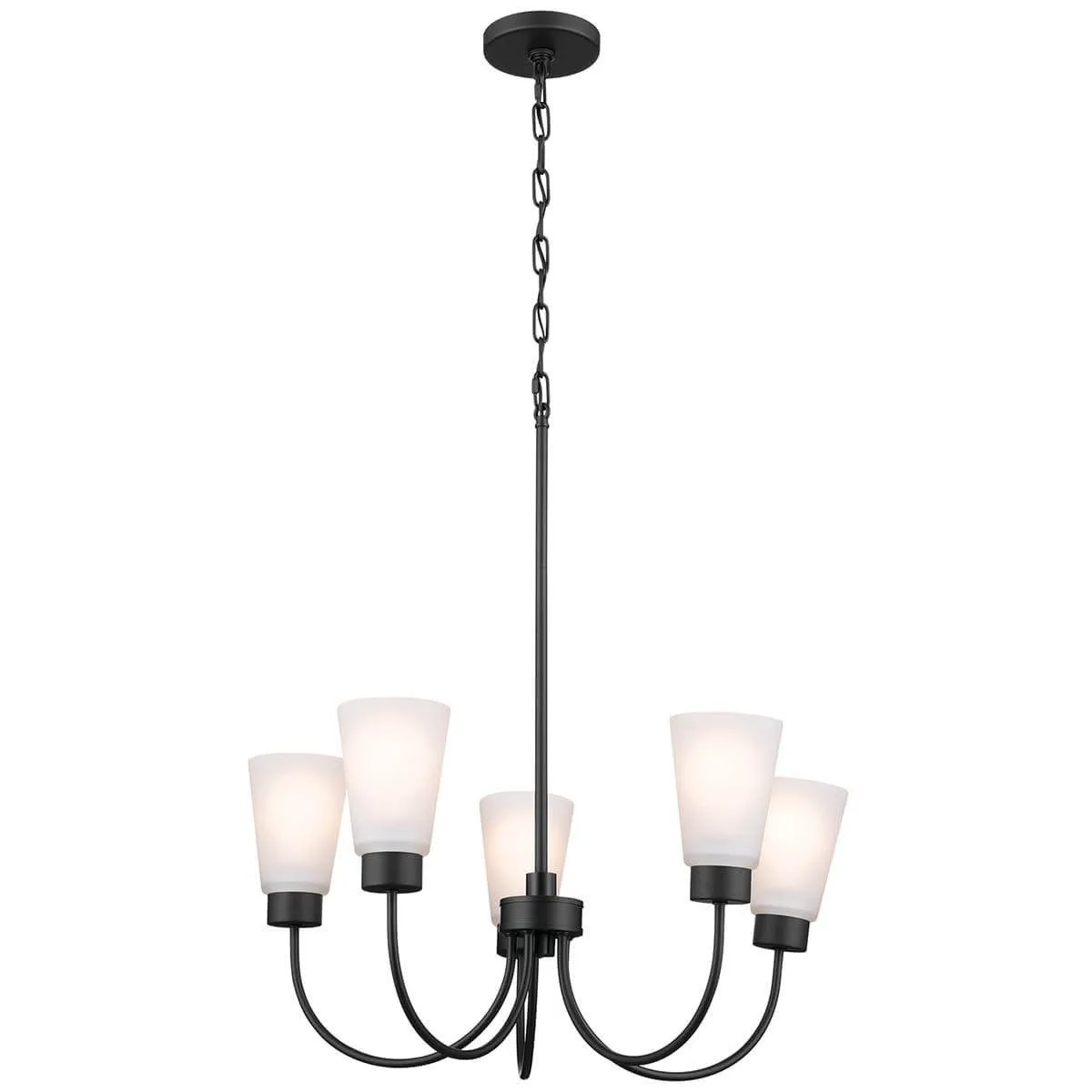 Erma 24 in. 5 Lights Chandelier Black finish