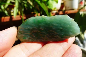 Natural Jade Rough Jadeite Raw (20g,5.1X2.3X0.9cm)