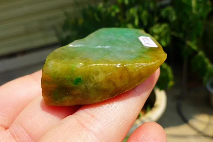 Natural Jade Rough Jadeite Raw (50g,5X3.9X1.3cm)