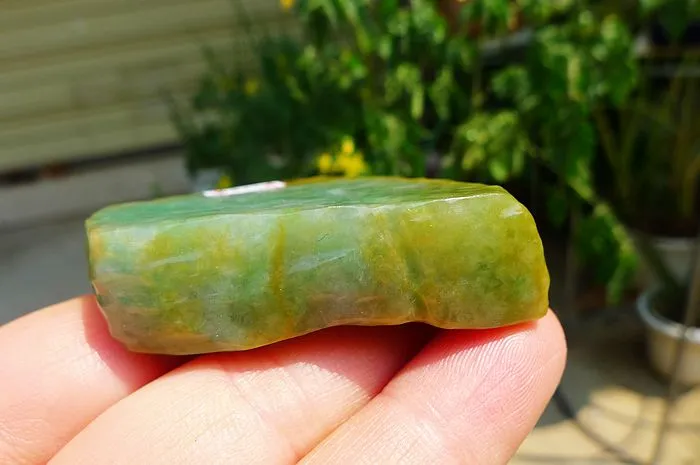 Natural Jade Rough Jadeite Raw (50g,5X3.9X1.3cm)