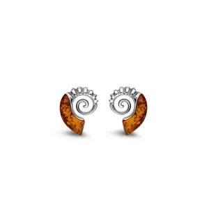 Sterling Silver Dinky Amber Ammonite Stud Earrings